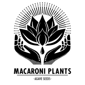 MACARONI PLANTSのアバター