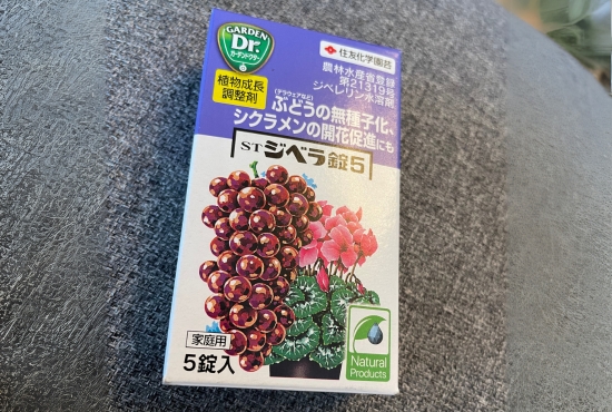 ジベラ錠5